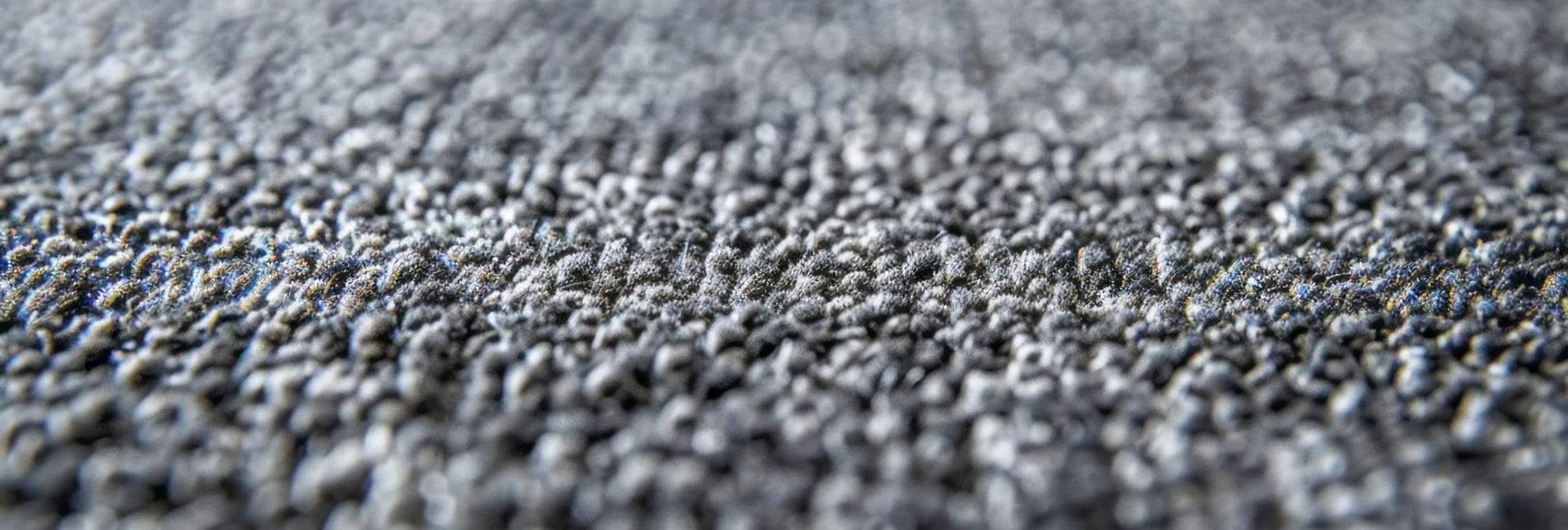 freshly cleaned living room carpet